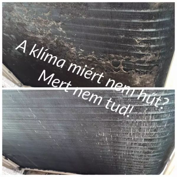 Koszos klíma
